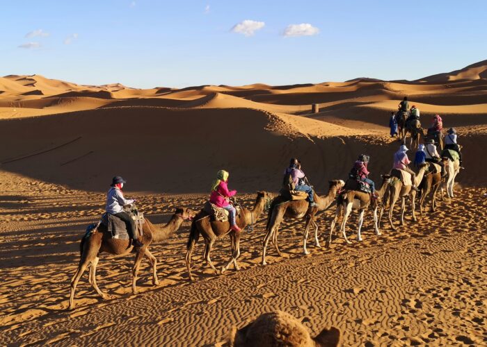 3 Day Tour From Fes To Marrakech