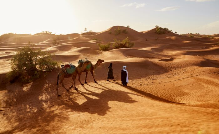 4 Days Desert Tour From Marrakech