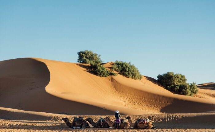 5 days tour from marrakech to merzouga​