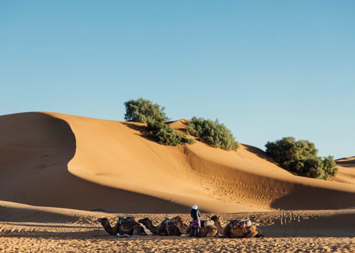 5 days tour from marrakech to merzouga​