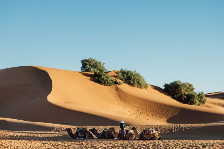 5 days tour from marrakech to merzouga​