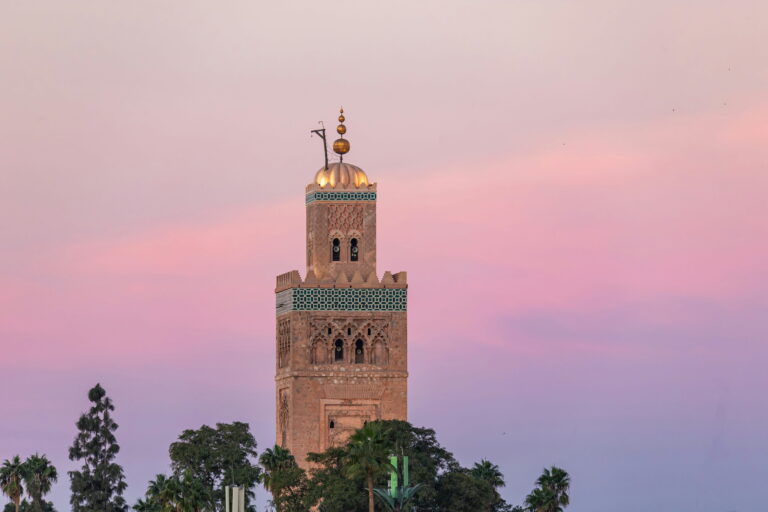 fes to marrakech luxury desert tour​